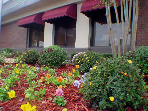 Holiday Inn Jonesboro Amenidades foto